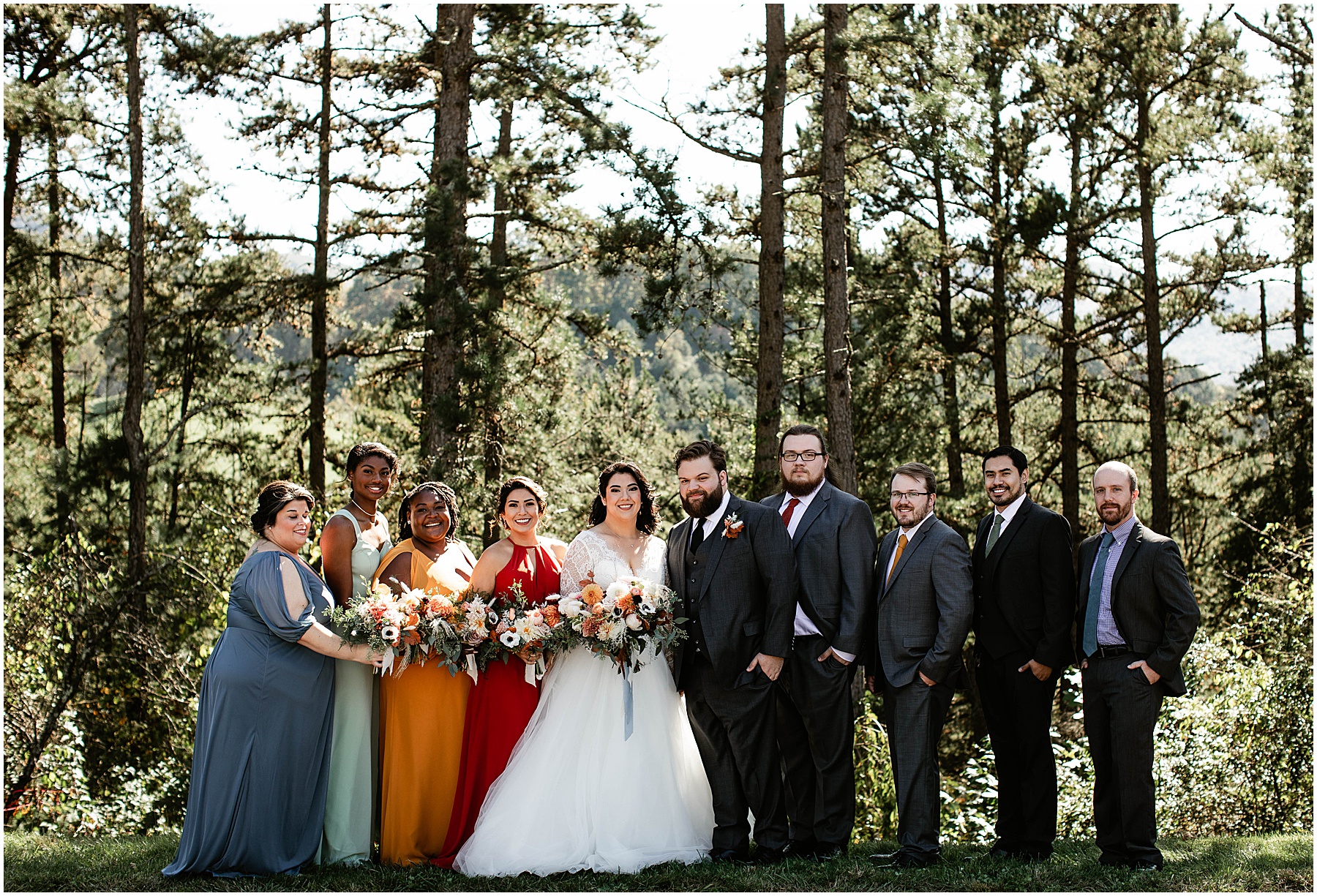 bride and groom with bridesmaids and groomsmen Chestnut Ridge, nc 
